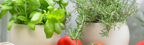 org:/banners product categories/vegetables_fruit/tomaten-kruiden.jpg